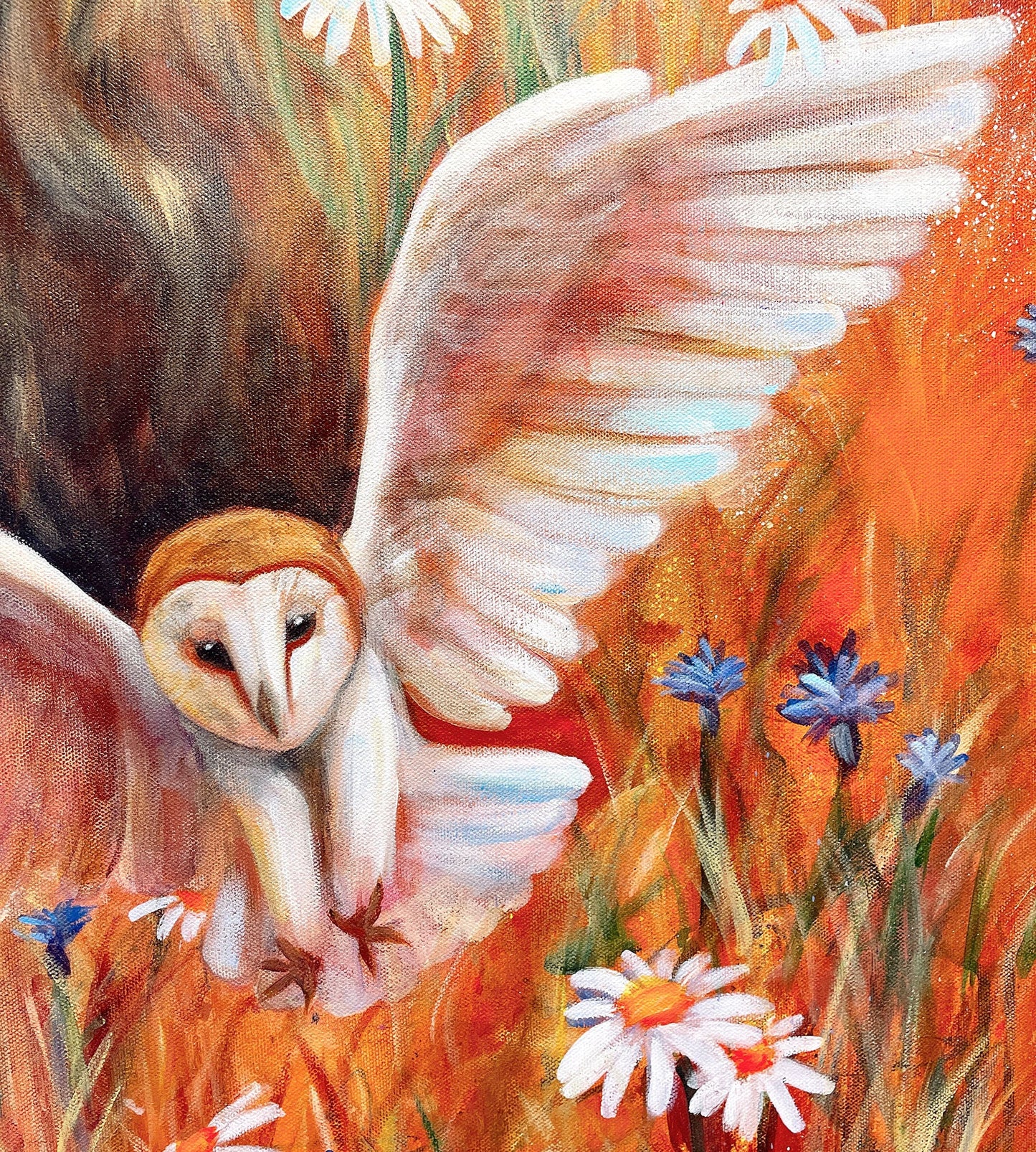 Flight of Dreams